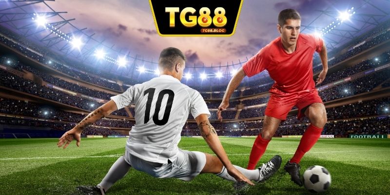 Bồ Đào Nha sẽ góp mặt trong worldcup