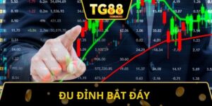 Đu Đỉnh Bắt Đáy Là Gì Và Cách Tận Dụng Cho Mọi Anh Em
