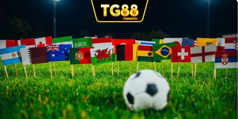 Khái quát về giải đấu world cup