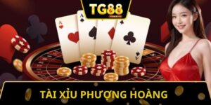 Tài Xỉu Phượng Hoàng - Khám Phá Loại Hình Giải Trí Thú Vị