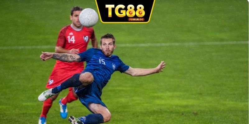 Tổng quan sản phẩm bóng đá hiện đại
