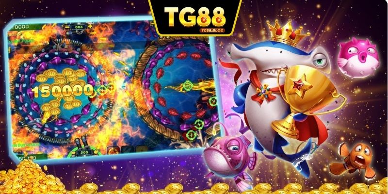 Trải nghiệm thế giới đại dương đẹp mắt